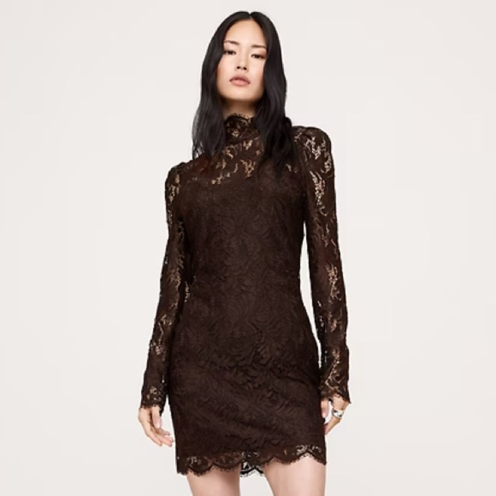 Banana Republic Brown Lace Mini Dress